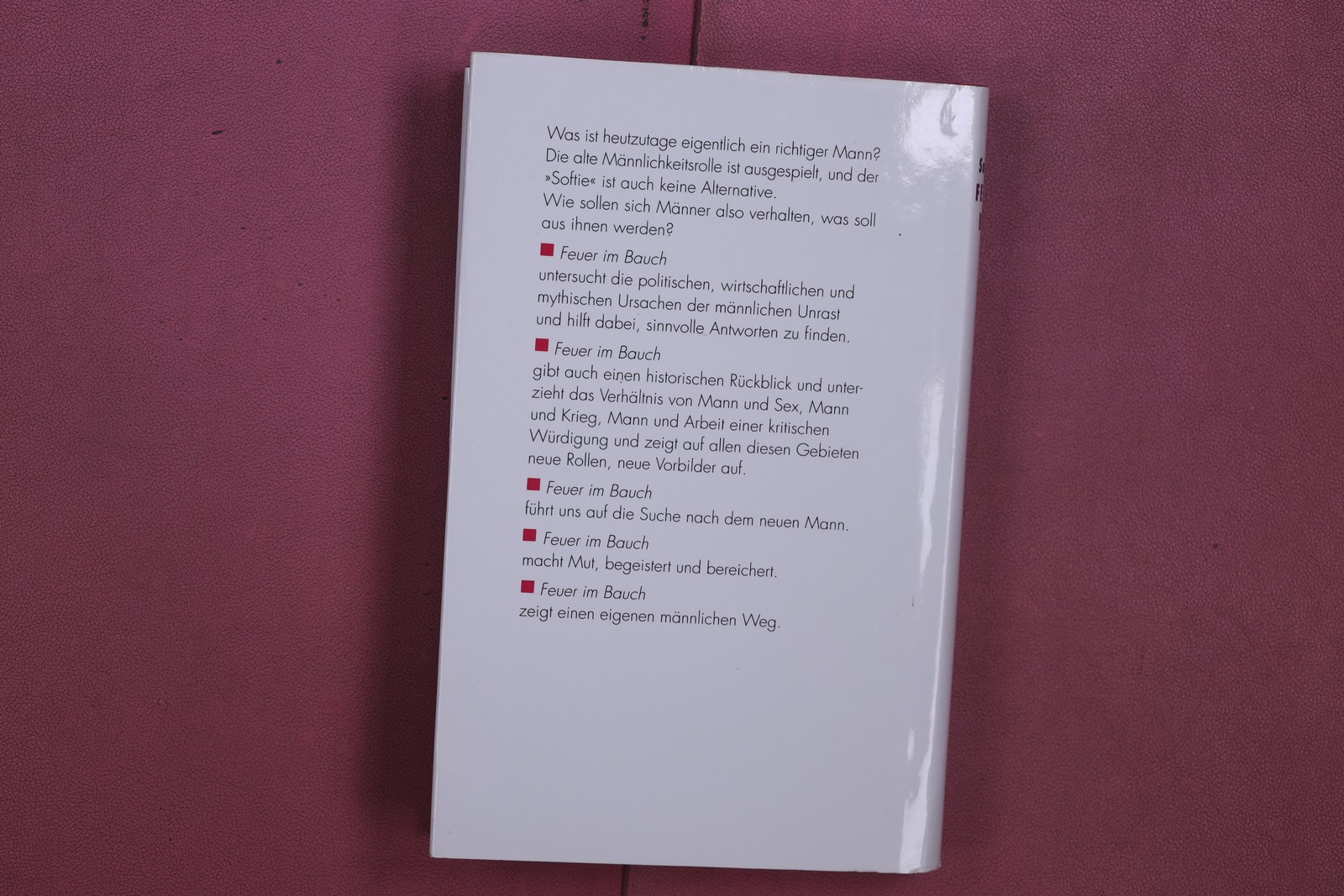 349003 Sam Keen FEUER IM BAUCH Deutscher Taschenbuch Verlag Über das Mann Sein