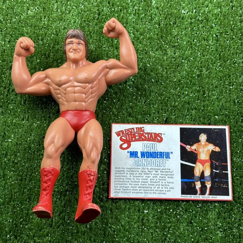 PAUL Paul Mr Wonderful Paul Mr Wonderful Paul Mr W...