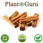 Ceylon Cinnamon Sticks ALBA Sri Lanka Organic Cinnamomum Verum 3" and 5" inches