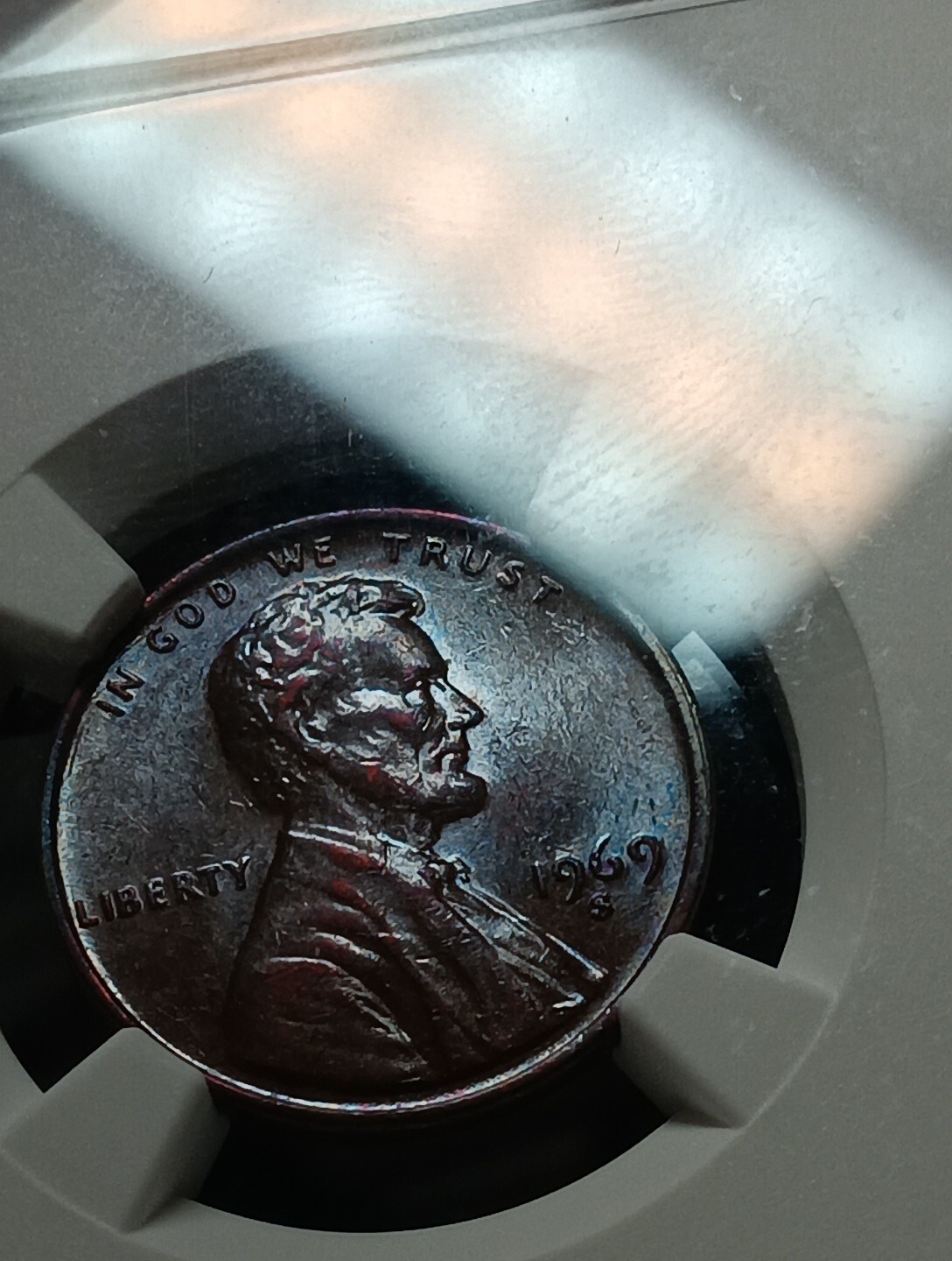 Picture 6 of 6