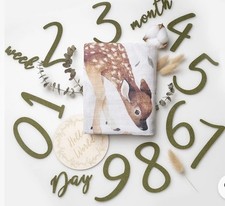 Miaoberry Woodland 100 Organic Cotton Muslin Milestone Blanket NEW