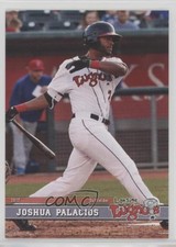 2017 Grandstand Lansing Lugnuts Joshua Palacios 14qo