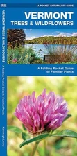 Vermont Trees & Wildflowers: A Folding Pocket Guide to Familiar Species by James