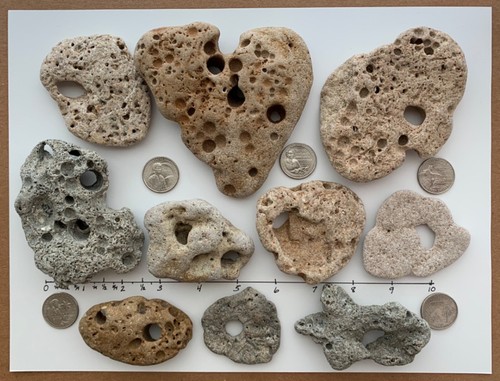 10 Natural Holey Beach Rocks Hag Fairy Stone Large 3/8" Hole Adder Mystical ❤️3L - Picture 10 of 17