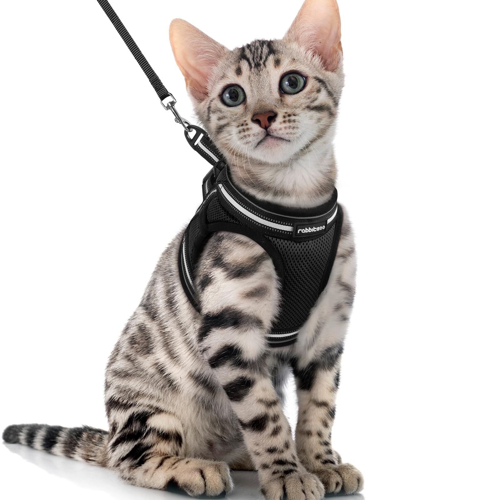 rabbitgoo Cat Harness and Leash Set for Walking Escape Proof Adjustable Soft ...