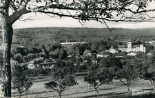 *36449 cpsm 54 Flavigny