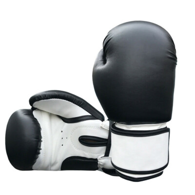 boxing equipment ebay