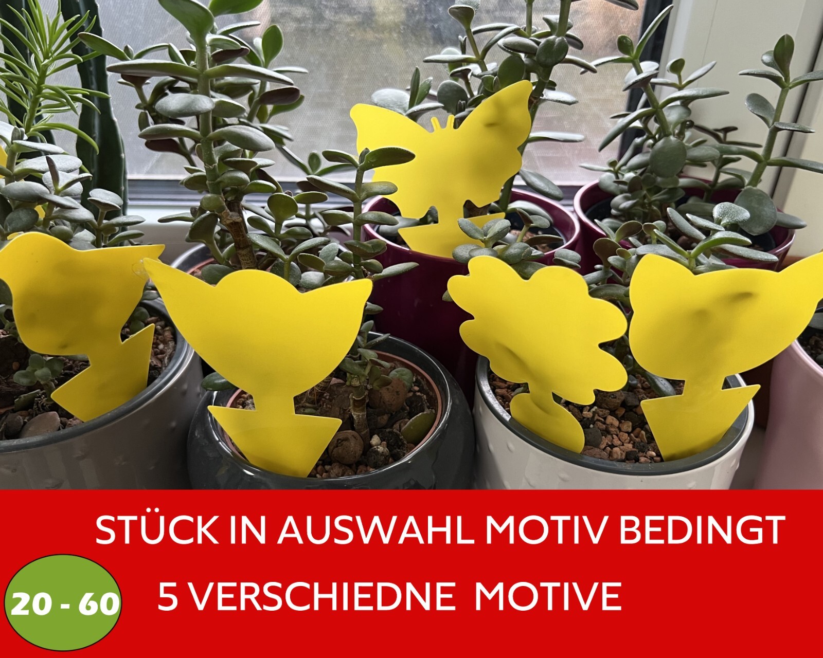 20-60 Stück Gelbsticker Wahl Gelbtafel Falle Insektenfalle Trauermücken Kleber