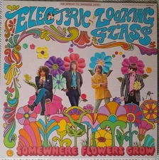Electric Looking  Glass  Somewhere Flowers Grow U.S  Limited Red Vinyl