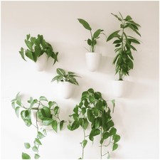 Make Good PlantPod Luxe - Self-Watering Wall Planters (Set of 6) - Easy to Wa...