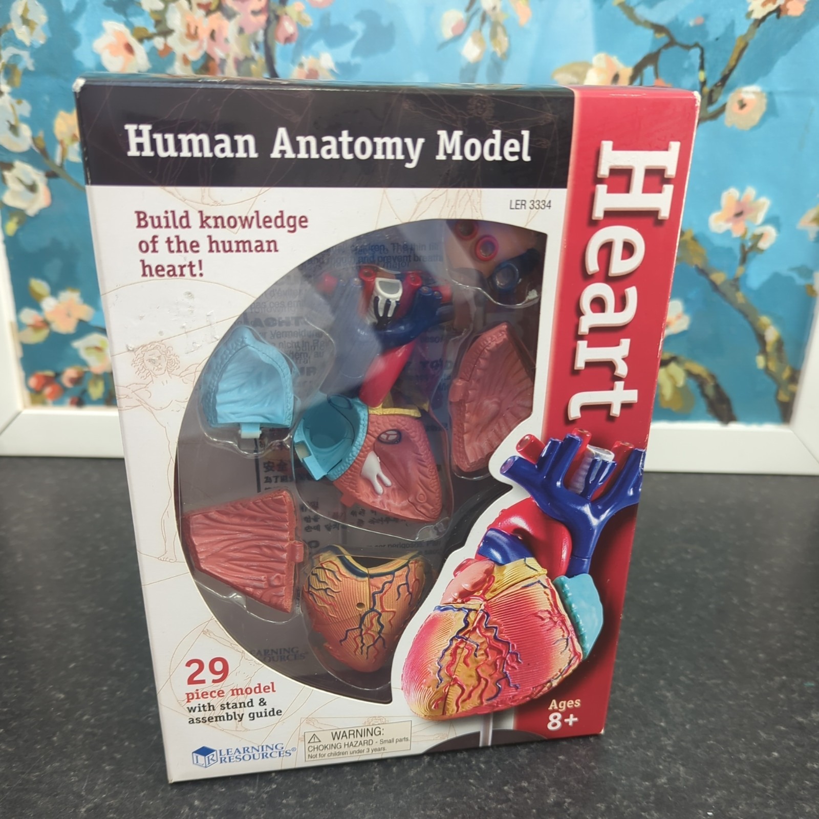 Learning Resources Human Heart Anatomy Model 29 Piece Educational Set LER3334