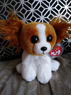 barks beanie boo