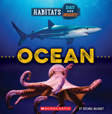Ocean (Wild World: Habitats Day and Night) - Paperback By Maloney, Brenna - GOOD