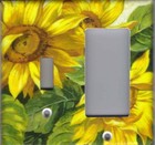 Bild 16 von 31