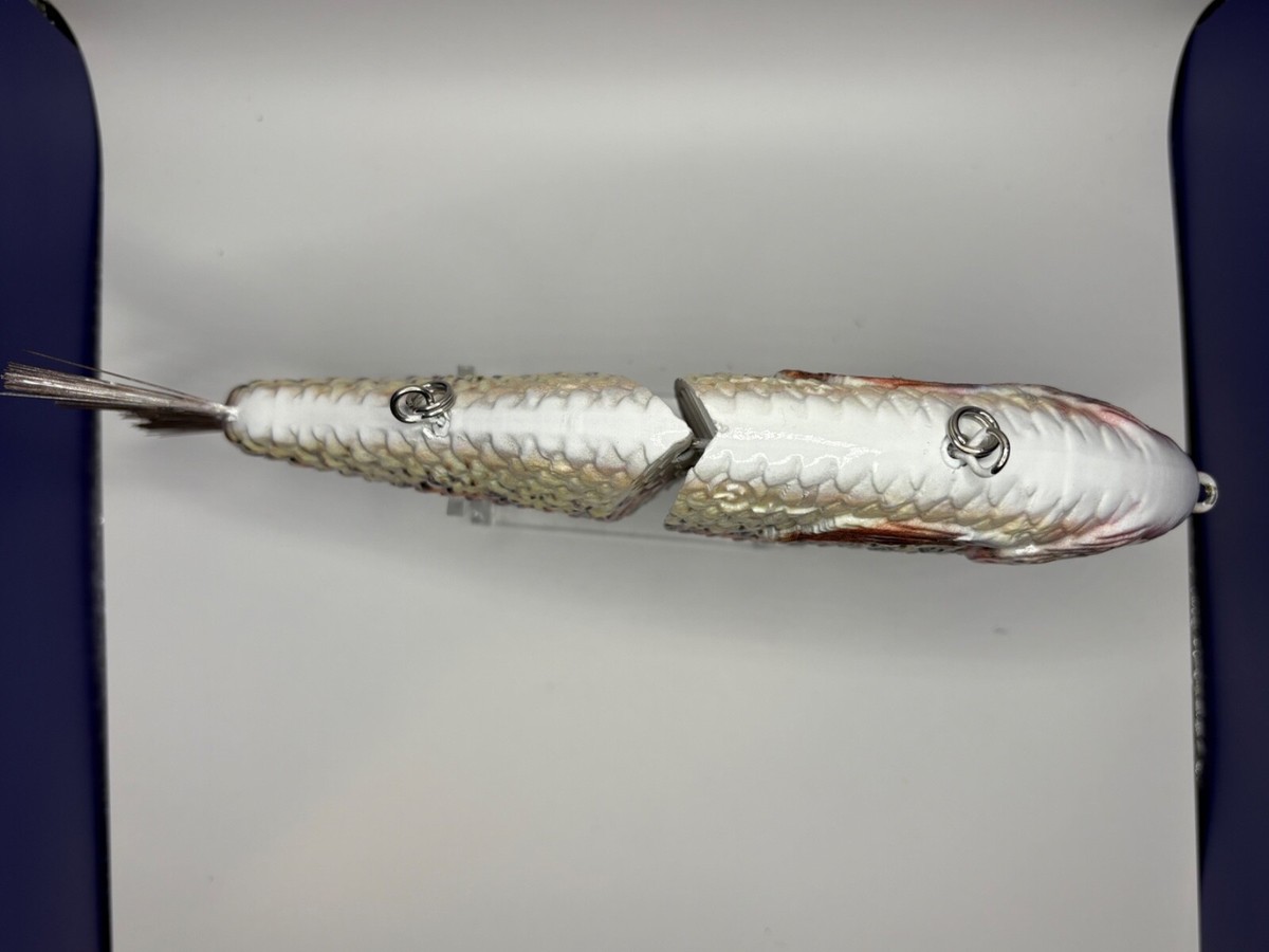 2 Esche Da Nuoto TYG Silencer Glide Bait 7 Pollici – Affondanti, Bianche, Per Pesce Persico E Luccio