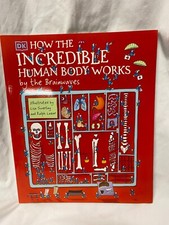 How the Incredible Human Body Works  by the Brainwaves by