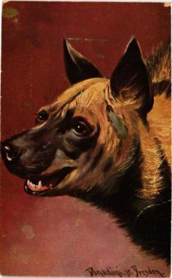 CPA AK Illustration DOGS (729394)