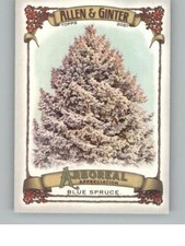 2021 Topps Allen & Ginter Pine AA-12 Arboreal Appreciation