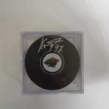 Minnesota Wild Collecting and Fan Guide 85