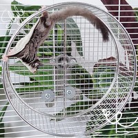 Hamster -Lauf -ÜBungsrad FüR RennmäUse Ratten MäUse KäFigzubehöR