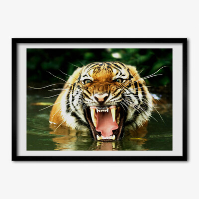 Tulup Bild MDF-gerahmte Wand-Dekor 70x50cm Bild Zimmer roaring tiger