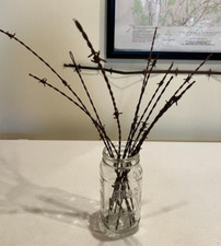 Rusty Barbed Wire  11   12-19 Inch strands for Farmhouse/rustic d cor