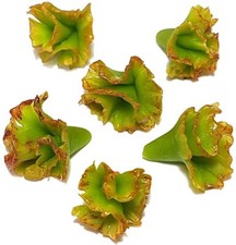 100 Dollhouse Miniature Lettuce  Doll Mini Food Set Vegetables Wholesale Lot