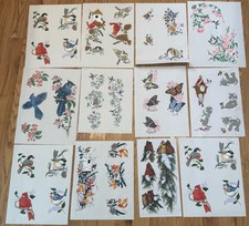 Vintage Hadi Bird Butterfly Kitten Iron On Transfers Lot of 12 Craft Prints