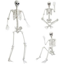 7.9ft/240cm Giant Skeleton Halloween Skeleton Life Size Skeleton Posable Skel...