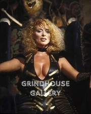 SYBIL DANNING Stunning Beautiful Sexy Pin-Up Wall Art Photo Print #19