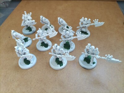 Warmachine Cygnar Stormguard Storm Knight Einheit UVP 43£