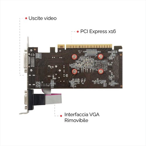 SCHEDA VIDEO NVIDIA GeForce GT 730 2GB GDDR3 LOW PROFILE GAMING HDMI VGA DVI - Foto 2 di 6