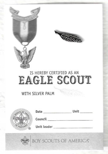 SCOUTS BSA EAGLE RANK AWARD SILVER PALM PIN NEW CURRENT WITH CARD - Picture 6 of 6
