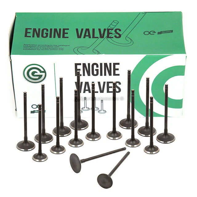 Válvulas de escape de admisión aptas para 07-12 Nissan Sentra Versa Cube 1.8 2.0 MR18DE MR20DE Foto 2 de 4