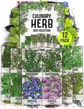 Culinary Herb Seed Collection for Planting an Indoor / Outdoor Herb Garden