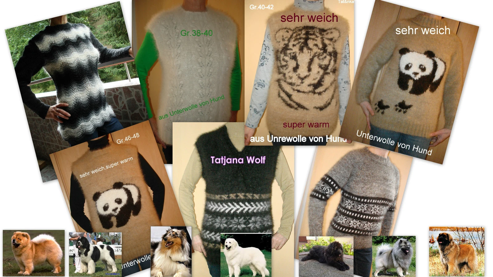 Bild 2 von 11