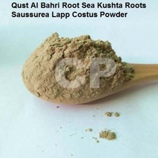 Qust Al Bahri Root Sea Kushta Roots Saussurea Lapp Costus Powder 100gm 3.5 OZ '