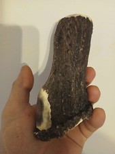 226.Knife Handle Material.Red Deer Horn Knife Handle.(NATURAL).
