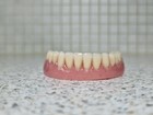 Brand New Denture/False Teeth,Lower,Novelty,Display,Props,Teaching aid,lectures