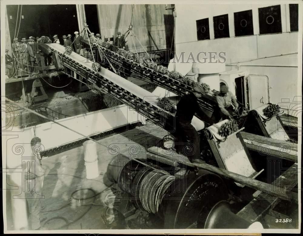 ebay category 262421 1931 Press Photo