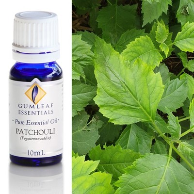 Gumleaf Essentials - Patchouli - Essential Oil - 10 mL