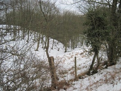 Foto A3 Down into Howlgate Slack Levisham c2012