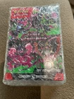 POKÉMON : BUNDLE 6 BOOSTERS EV6.5 FABLE NEBULEUSE (NEUF/SCELLÉ)
