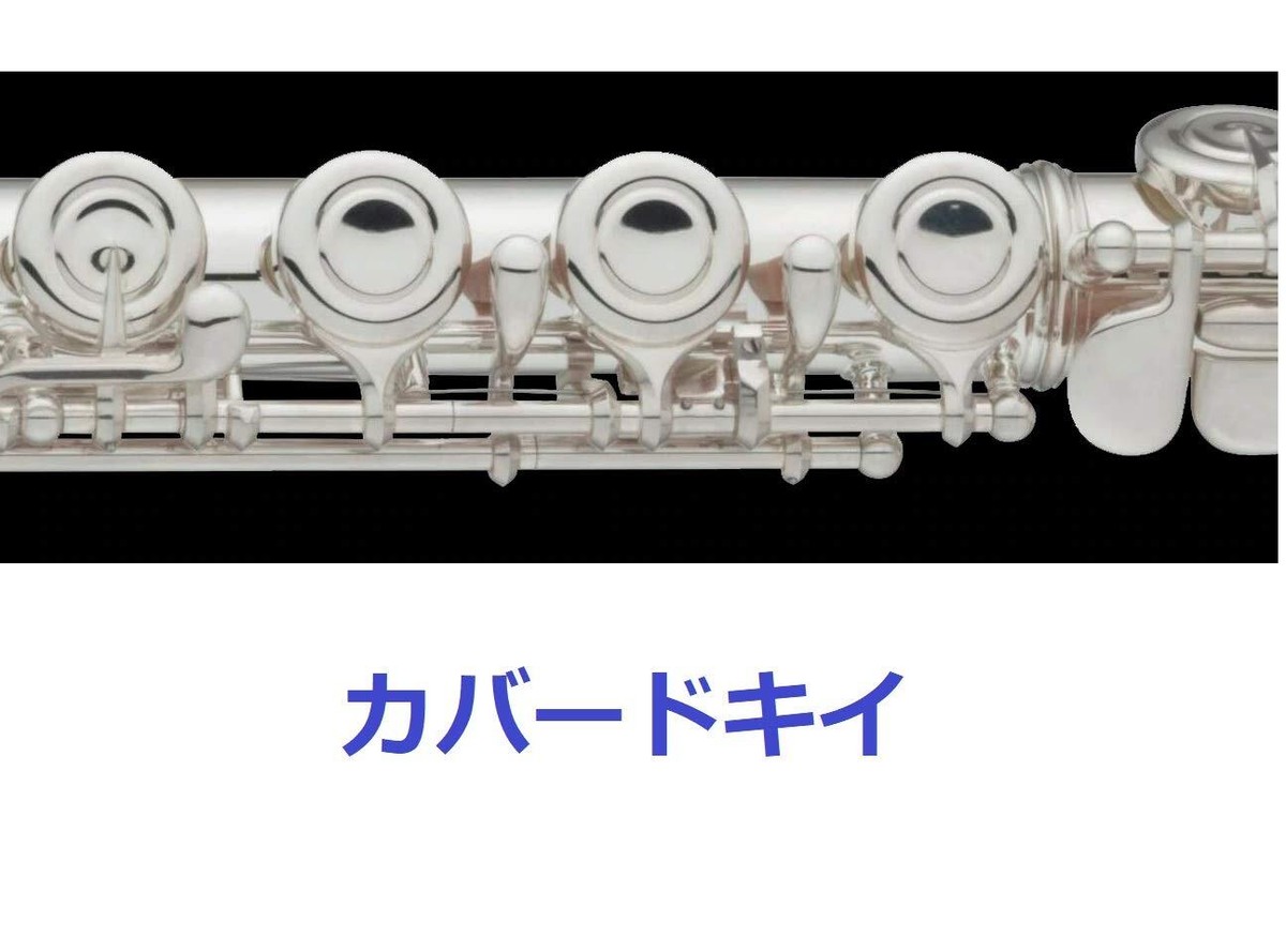 YAMAHA FL-212 フルート シルバー ケース付き Yamaha Flute STANDARD YFL-212 Silver Covered key with E