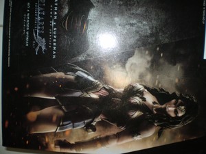 Wonder Woman (Batman vs Superman) by Playarts