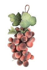 Flocked Red Grapes Cluster on Wire 14" Faux Fruit Kitchen Decor