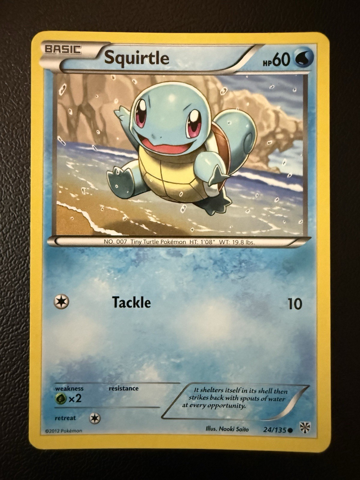 Pokémon TCG Squirtle Plasma Storm 24/135 Common Regular HP60 ATK10