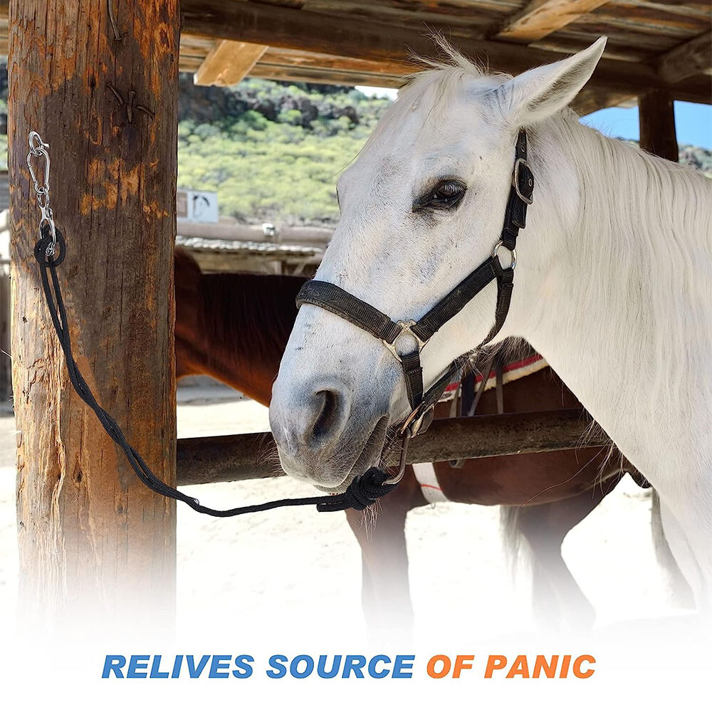 1Pcs Horse Tie Ring with Eye Bolts and Snaps Saddle for Horse to