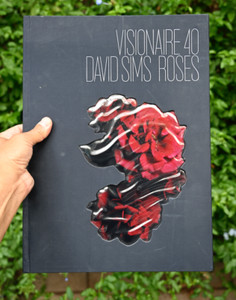 David Sims Book | eBay