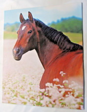 Single Brown Horse 2-Pocket Paper Folder for 8.5 by 11 by Top Flight